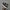 vans autentik photo 2