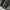 Jeff Hamilton Dale earnhardt Winston Cup Champion photo 6