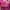 punk / emo / grunge / pink top photo 5