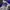 Adidas Vintage Sportswear Polo shirt Pria white blue photo 4