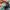 Nike Air Max 95 SP Corteiz Gutta Green photo 6