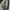 Sweatshirt Crewneck Basic HUM charcoal  photo 4
