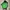 Salomon Gorpcore Reworked Bag Pria green black photo 3