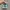 Nike Streetwear Y2K Sneakers Pria white green photo 5