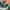Nike Streetwear Y2K Sneakers Pria white green photo 6