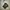 Ts Social Distortion