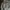 Tshirt Basic  Kaos und3r arm0ur brown running photo 1