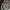 Tshirt Basic  Kaos Und3r Arm0ur Brown Running