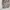 Columbia Gorpcore Sportswear Short Pria tan photo 3