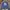 Crewneck MLB NY Full Print Blue
