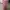 koper navy club pink size 24inch photo 2