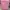 koper navy club pink size 24inch photo 1
