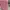 koper navy club pink size 24inch photo 3