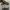 Adidas Superstar 'Sharpie Pack Graffiti'  photo 3