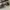 moscot mirr mirror sunglases photo 3