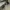 moscot mirr mirror sunglases photo 2