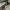 Moscot Mirr Mirror Sunglases
