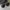 moscot mirr mirror sunglases photo 1