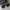 Moscot Mirr Mirror Sunglases