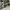 moscot mirr mirror sunglases photo 4