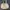 White Vintage Stude Shoulderbag photo 1