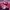 Baseball Caps Nike Legacy 91 Young Athlete Club Kids Cap  photo 5