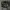 Sidebag Motorcycle photo 2