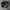 Sidebag Motorcycle photo 1