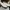 Sneakers Gozeal photo 1