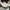 Sneakers Gozeal