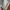 Mardi Mercredi Luxury Casual Sweater Wanita gray photo 4