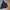 Jaket Tracktop Adidas parashut mantab photo 7