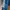 Adidas Luxury Casual Sweater Pria blue photo 5