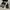Converse CONS Ctas Pro Black White High Top Suede  photo 7