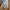 Timberland Casual Sweater Pria gray photo 7