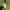 converse chuck taylor 70s Low photo 4