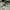 converse chuck taylor 70s Low photo 8