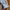 Polo Ralph Lauren Casual Sweater Wanita white photo 4
