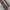 Dior Luxury Casual Pria multicolor photo 4