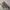 Dior Luxury Casual Pria multicolor photo 2