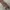 Dior Luxury Casual Pria multicolor photo 3