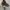 Dior Luxury Casual Pria multicolor photo 1