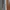 Adidas Luxury Casual Sweater Pria tan photo 3