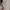 Adidas Luxury Casual Sweater Pria tan photo 4