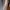 Adidas Luxury Casual Sweater Pria tan photo 2