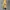 Vintage Casual Pria yellow photo 5