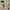 Vintage Casual Pria yellow photo 1