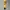 Vintage Casual Pria yellow photo 3