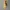Vintage Casual Pria yellow photo 2