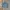 Jacket Wosh Denim Blue photo 1